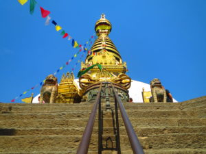 IMG_4769